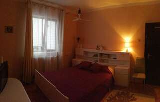 Проживание в семье Crystal Room II Тимишоара-3