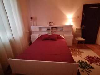 Проживание в семье Crystal Room II Тимишоара-5